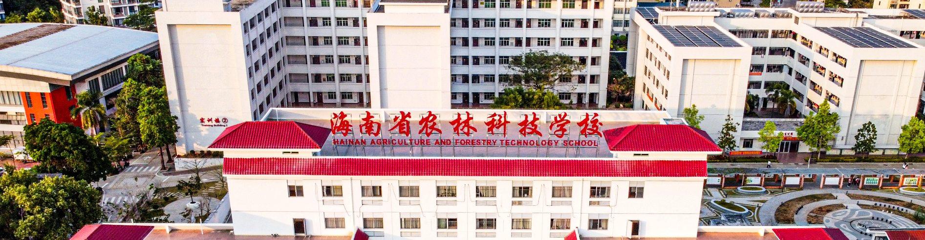 综合楼高空全景图